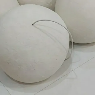 لوستر راگبل