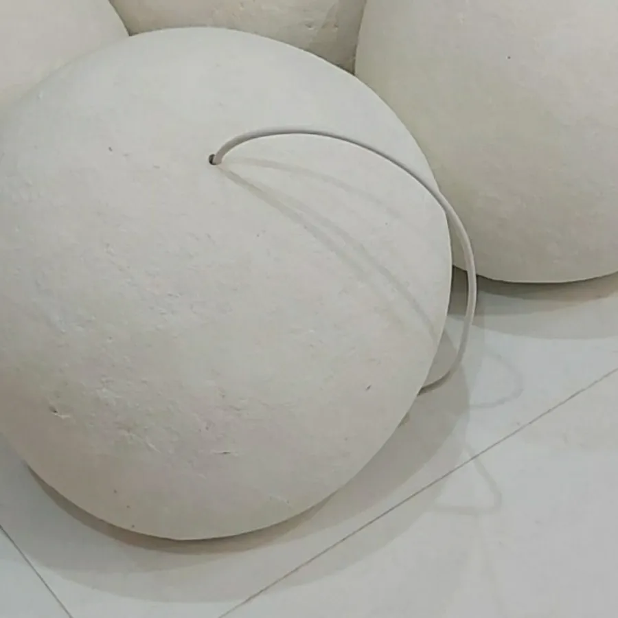 لوستر راگبل