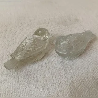 جفت جا تنقلات گنجشک