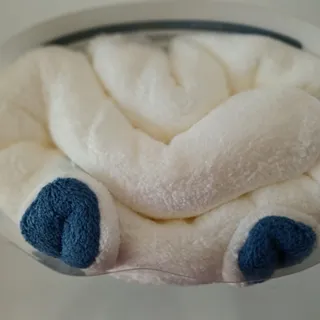 حوله استخری