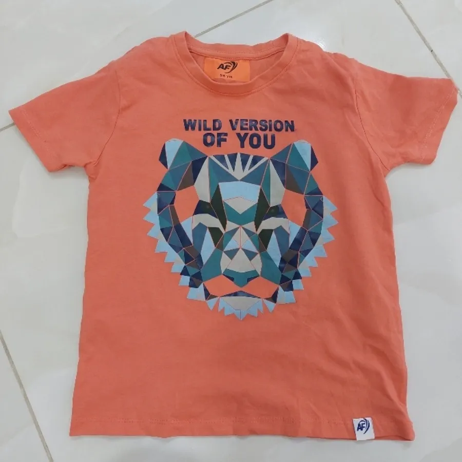 تیشرت گلبهی