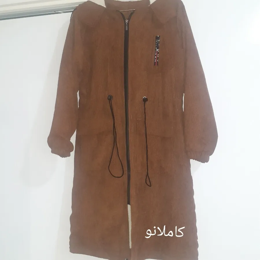 پالتوکبریتی