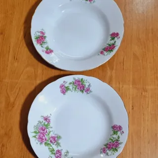 دو عدد بشقاب گل سرخی