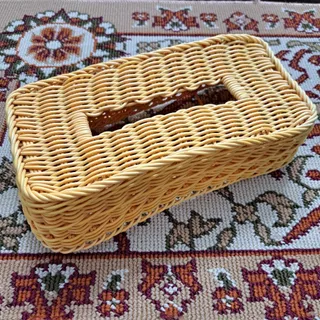 جا دستمال کاغذی