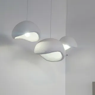 لوستر راگبل