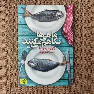 ماهی ها نگاهم میکنند