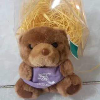 عروسک جاسوییچی