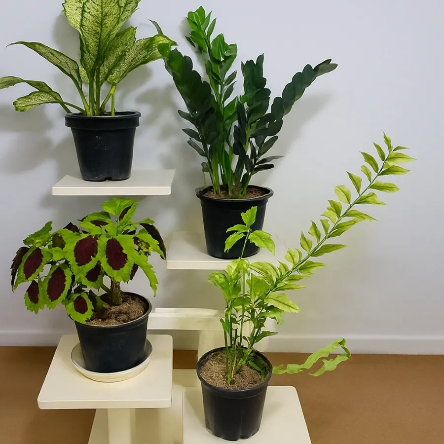 استند گلدان