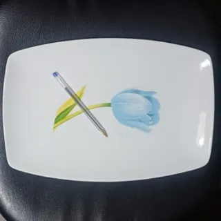 دیس سرامیک مستطیل