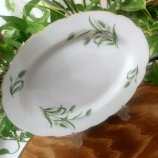 دیس ژاپنی