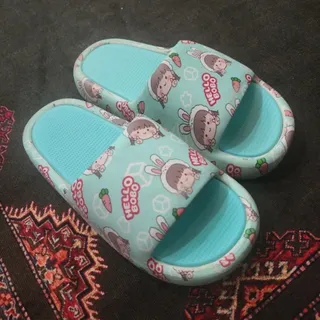 دمپایی روفرشی و بیرون