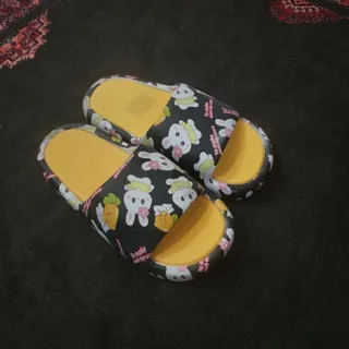 دمپایی روفرشی و بیرون