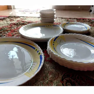 سرویس آرکوپال امارات