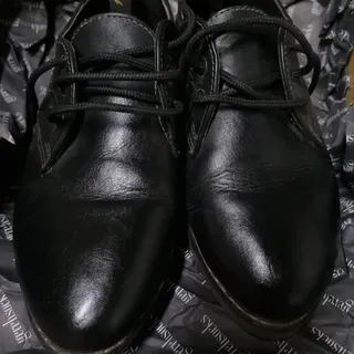 کفش رسمی ویزلند