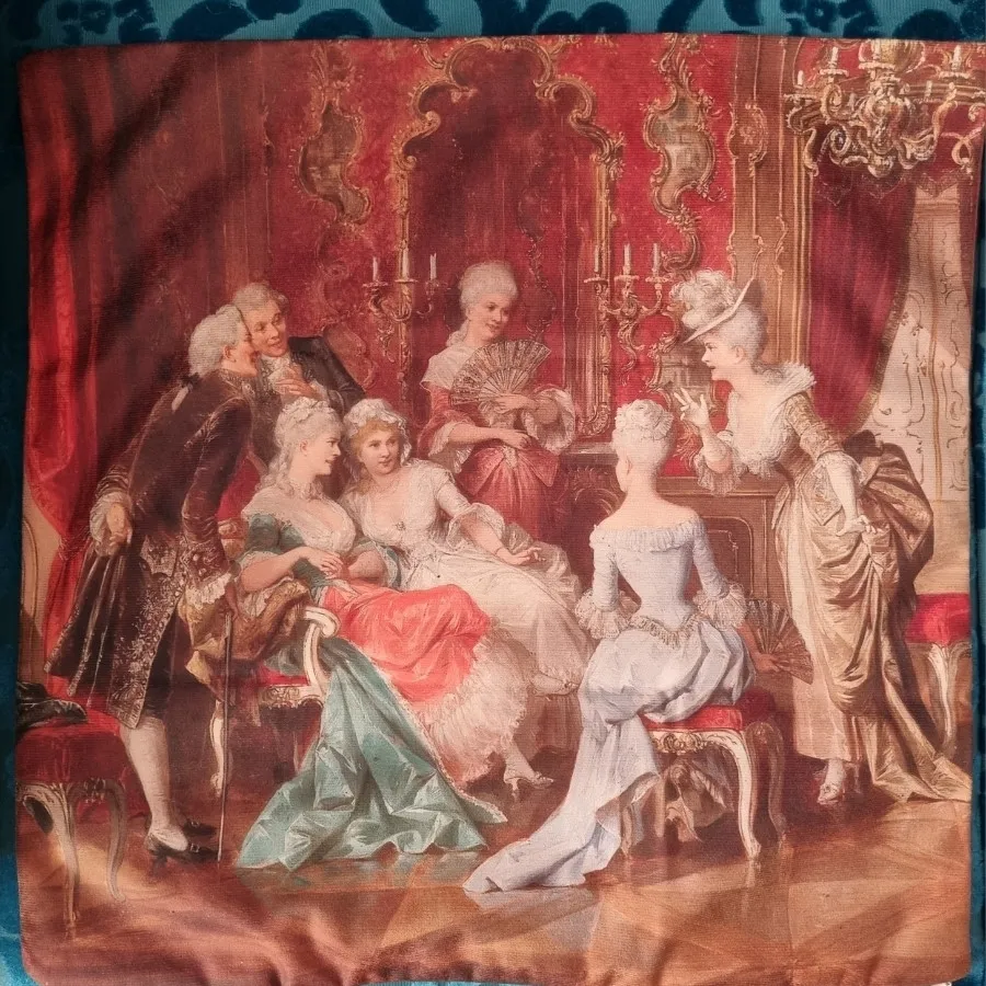 یک جفت کوسن مخمل فرانسوی