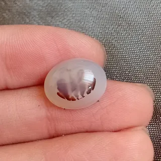 شجر منظره ارسال رایگان