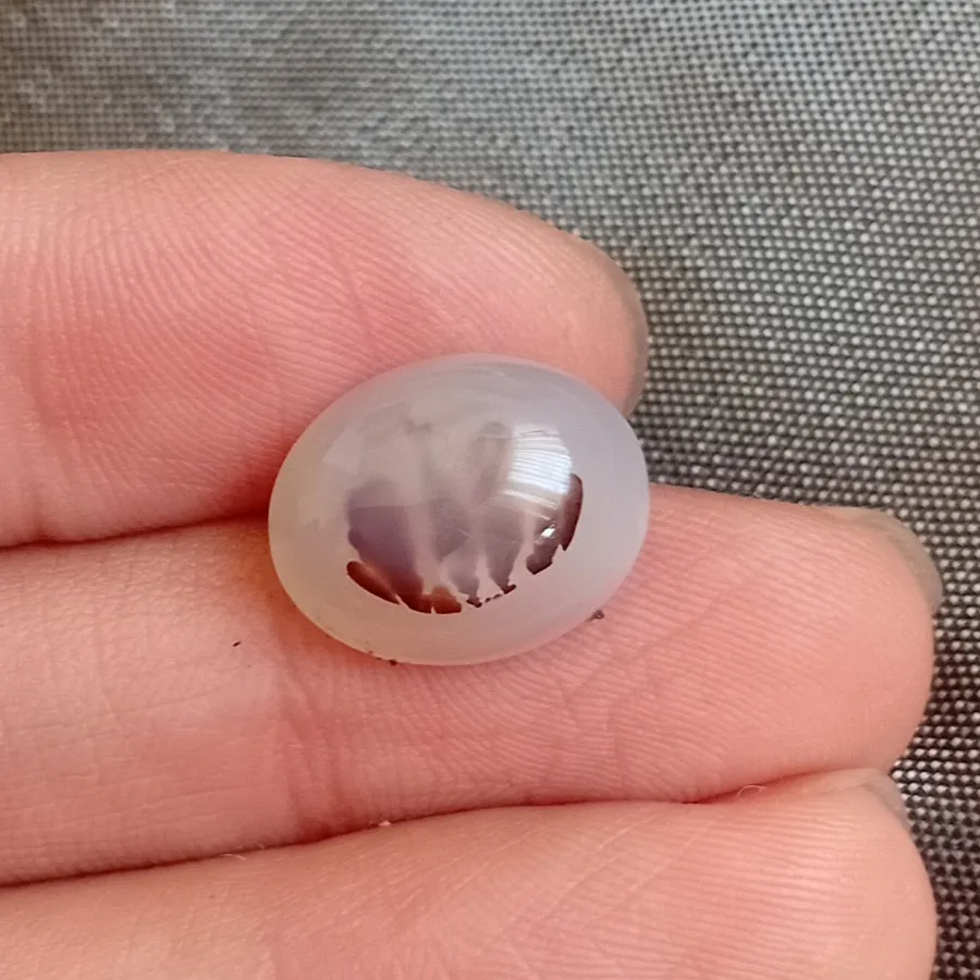 شجر منظره ارسال رایگان