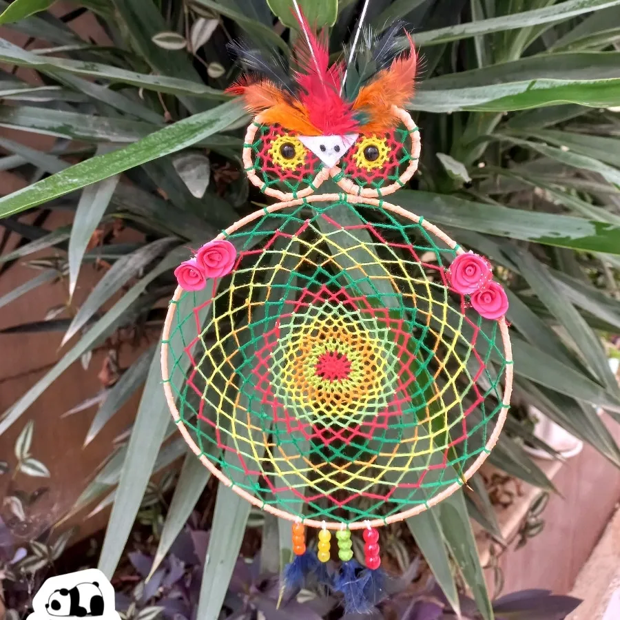 دریم کچدپر جغد