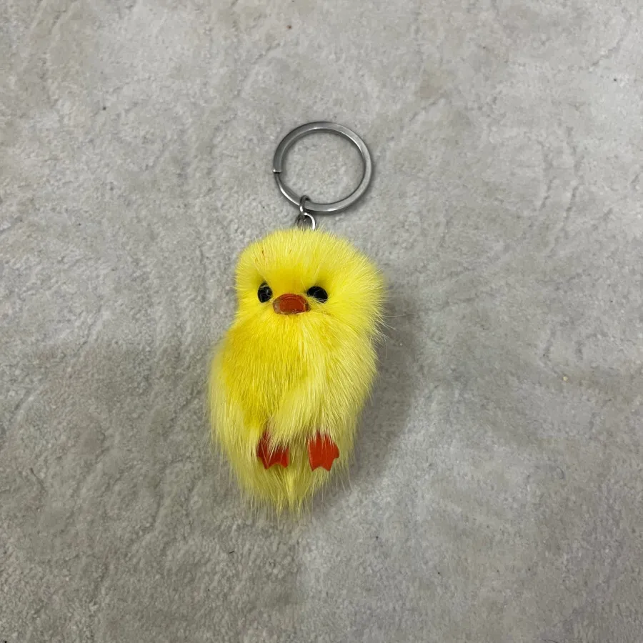 جاسوییچی جوجه