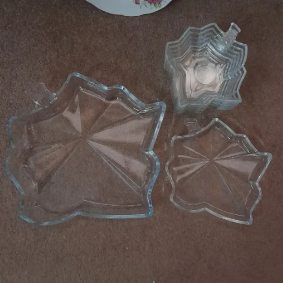 ظرف طرح برگ