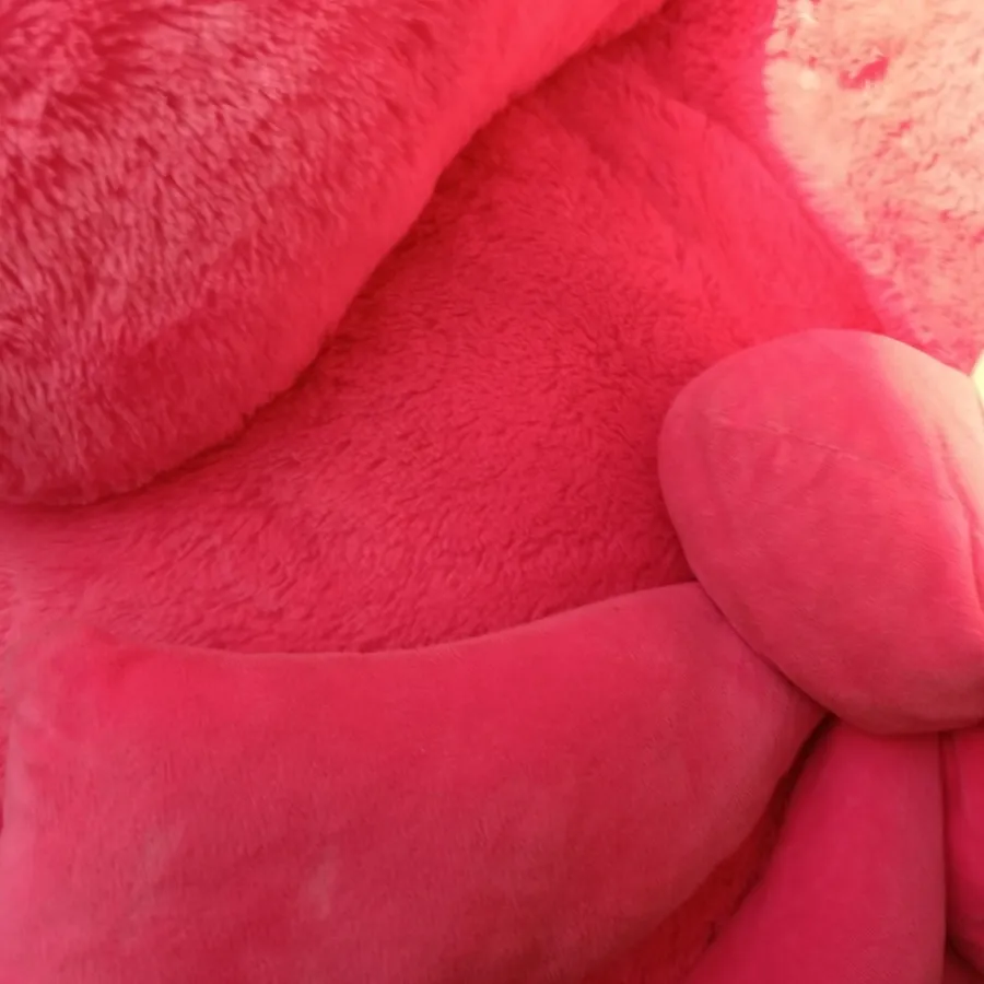 خرس بزرگ خیلی کیوتههه