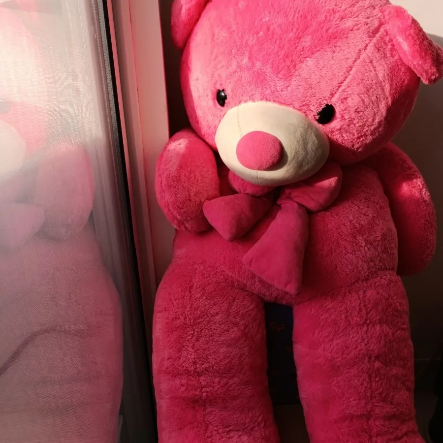 خرس بزرگ خیلی کیوتههه