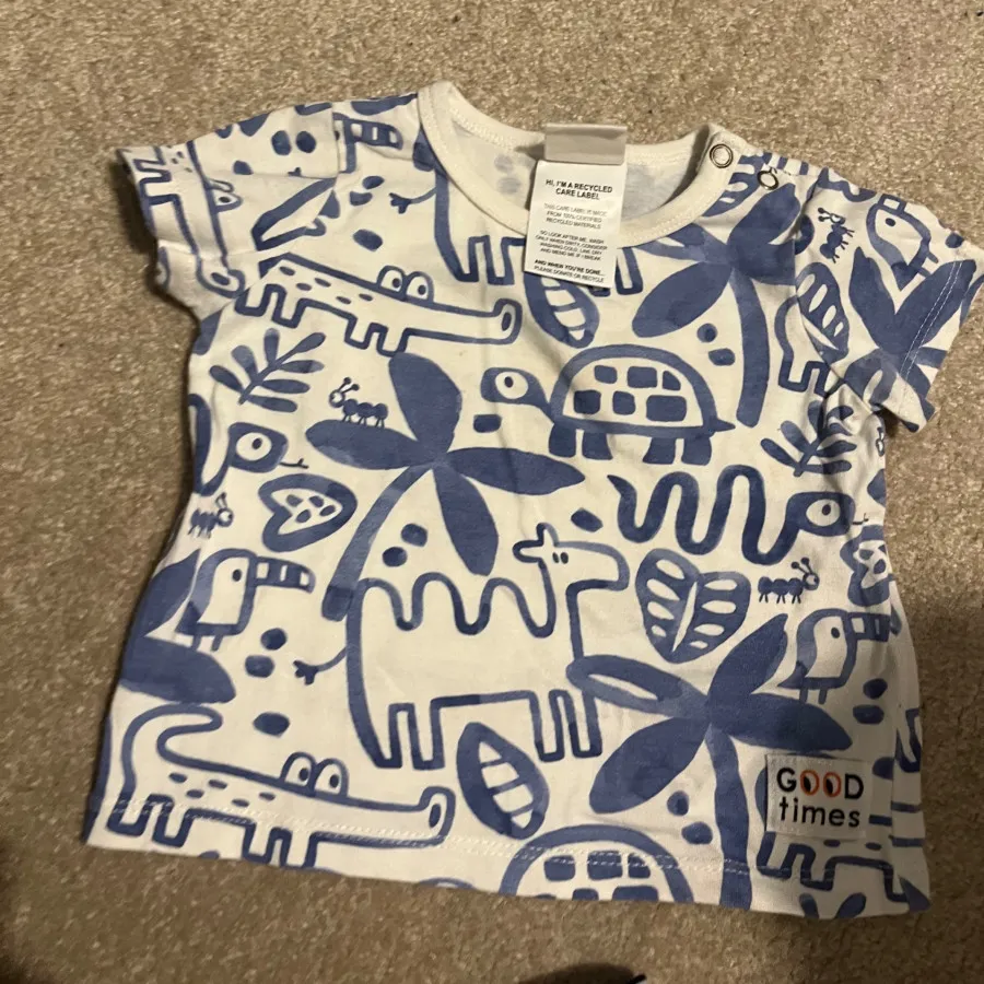 بیلر لاکپشتی