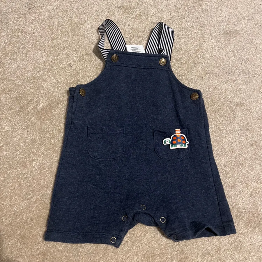 بیلر لاکپشتی