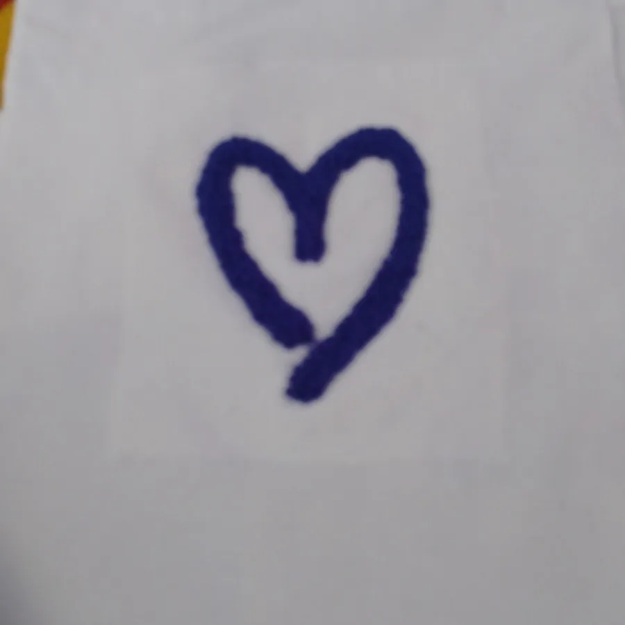 توت بگ پانچ دوزی