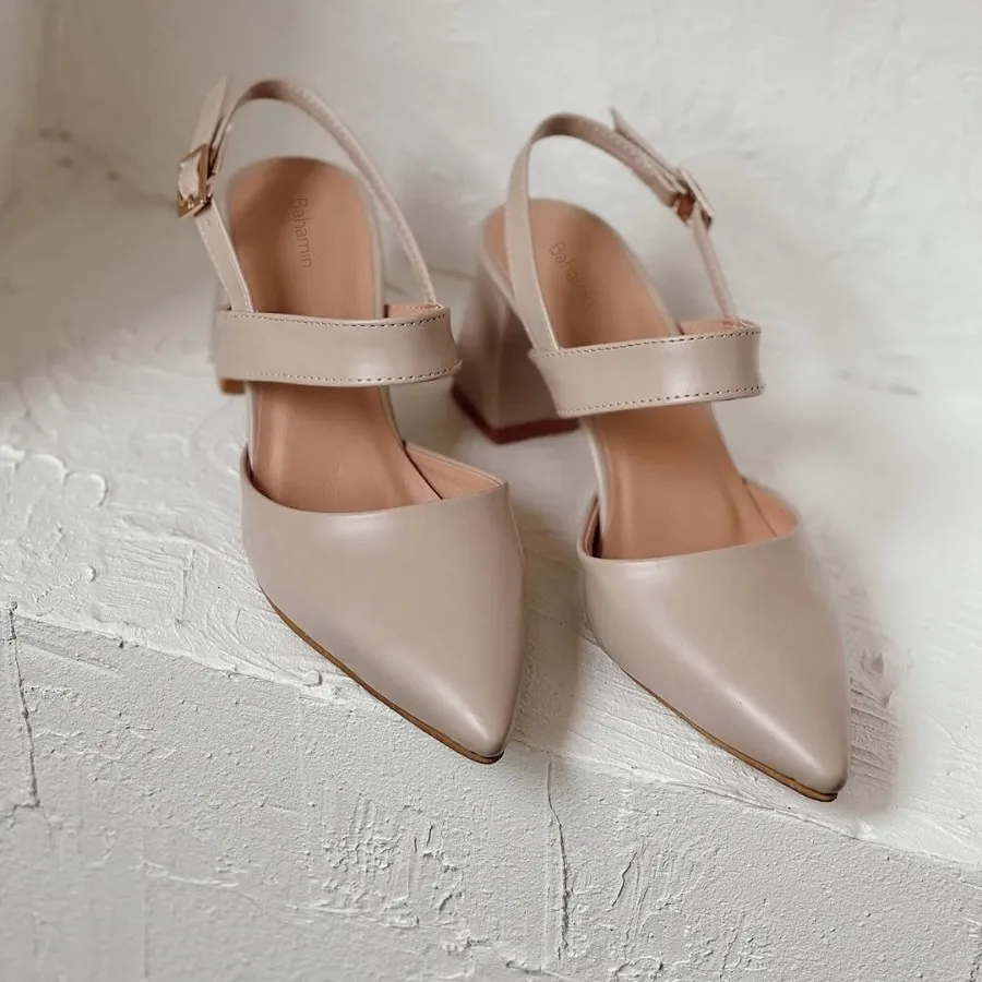 کفش کرم مجلسی