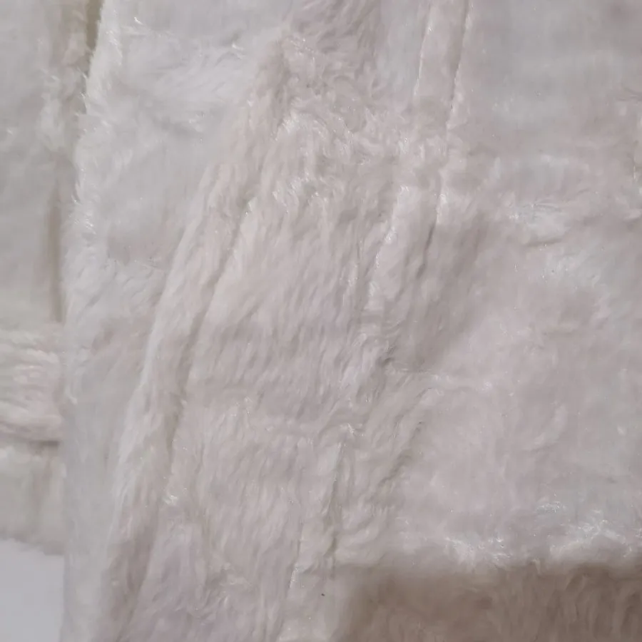 پالتو تدی اورجینال