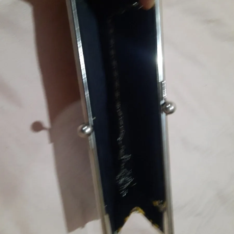 کیف مجلسی پلنگی