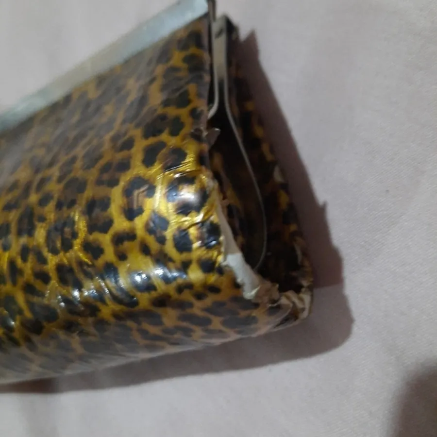 کیف مجلسی پلنگی