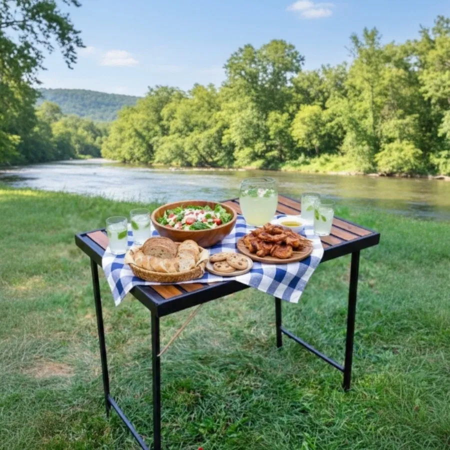 میزتاشو مسافرتی