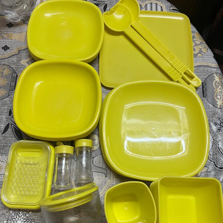 ظرف مسافرتی