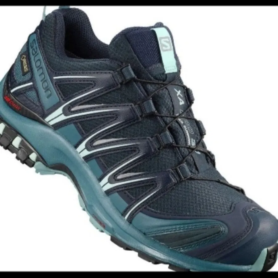 کتونی سالومون