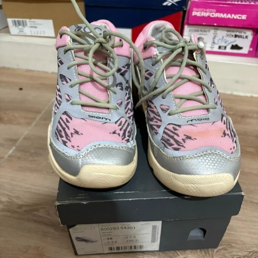 کتونی اکو بیوم