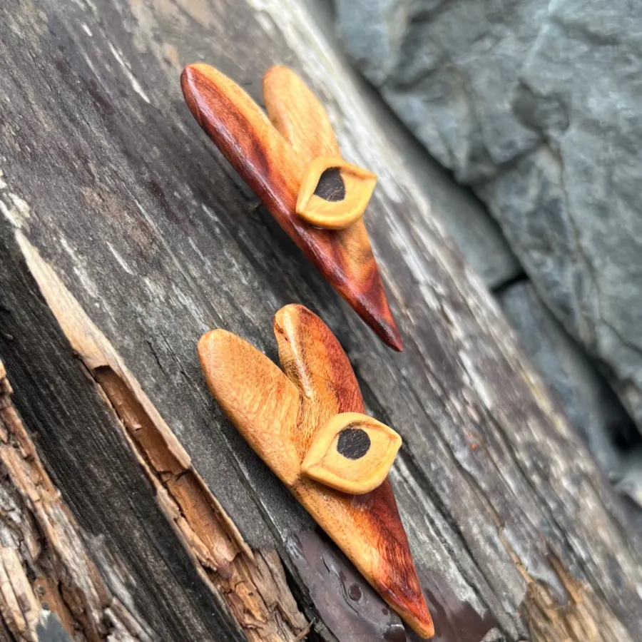 گوشواره قلب بینا