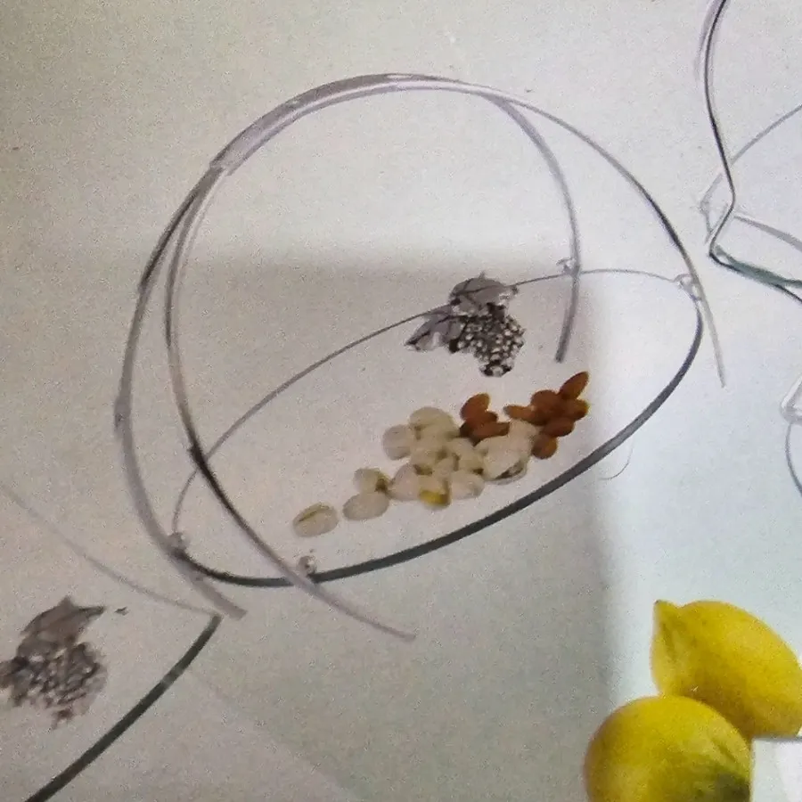 ظرف کریستال ایتالیایی