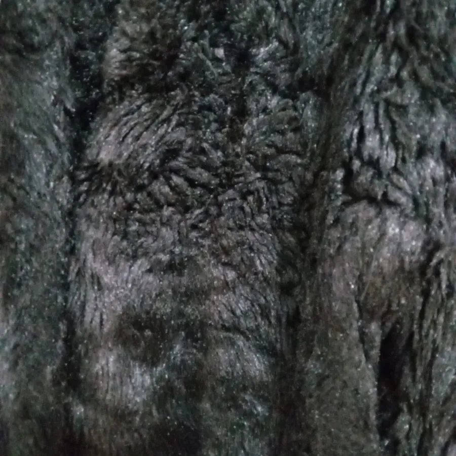 پالتو خز مشکی