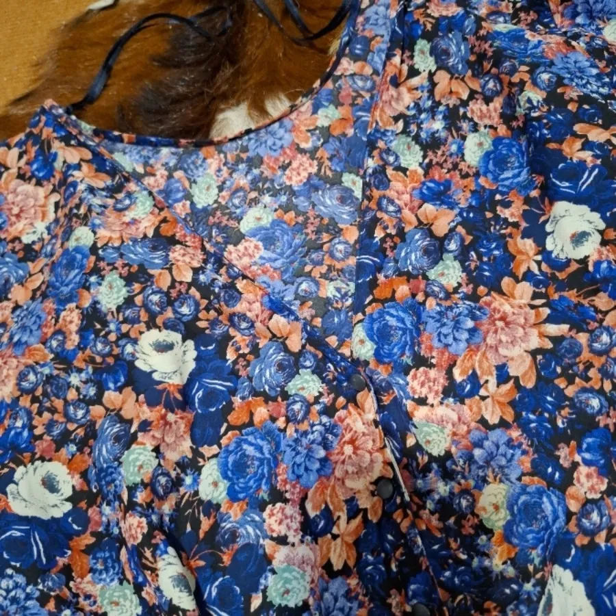 ساحلی گلگلی