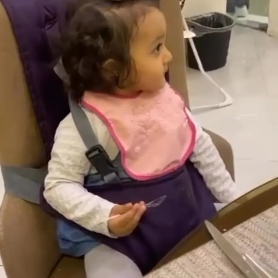 صندلی غذای مسافرتی