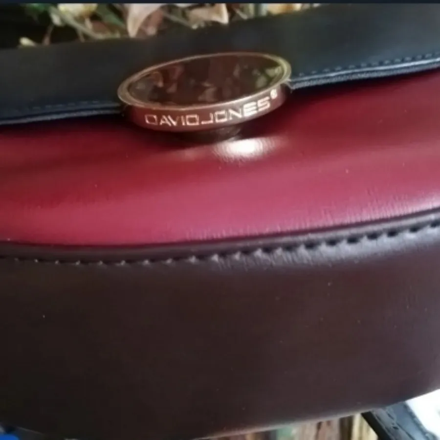 کیف دیویدجونز اورجینال