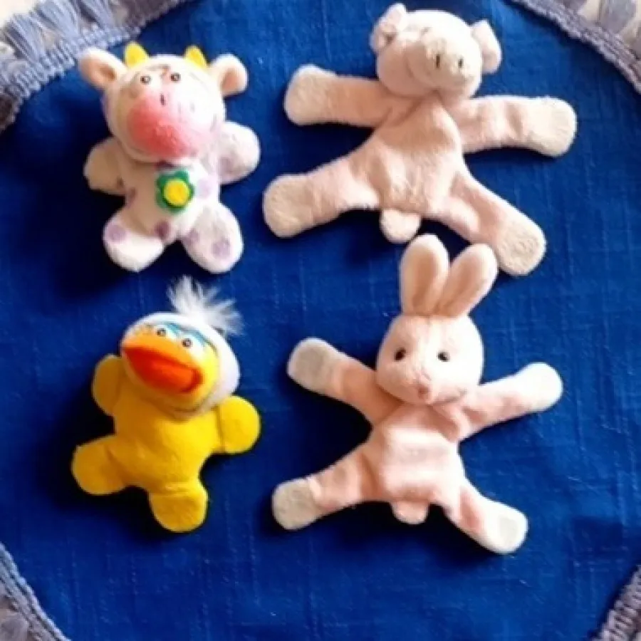 مگنت پولیشی