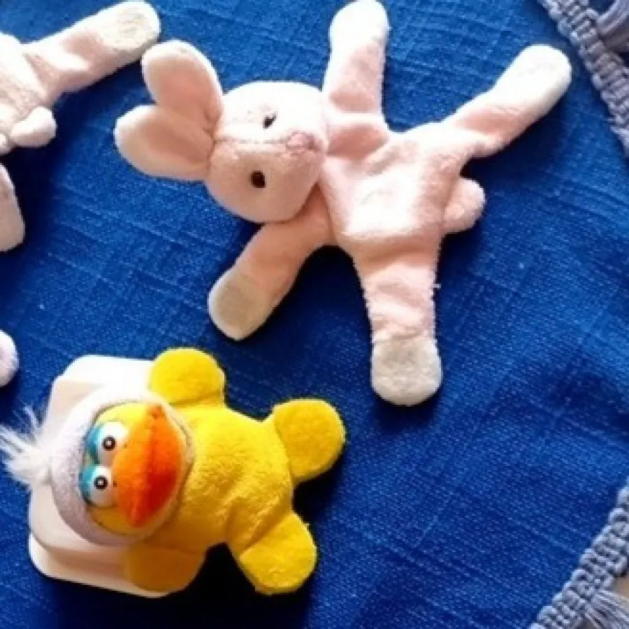 مگنت پولیشی