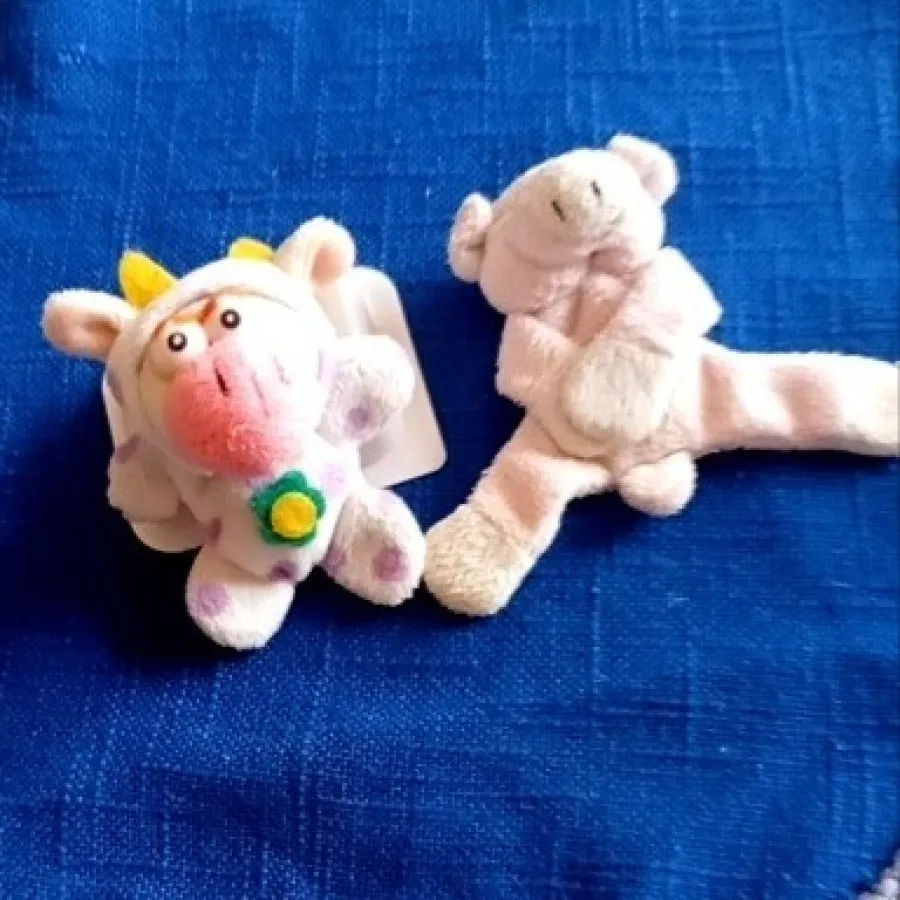 مگنت پولیشی