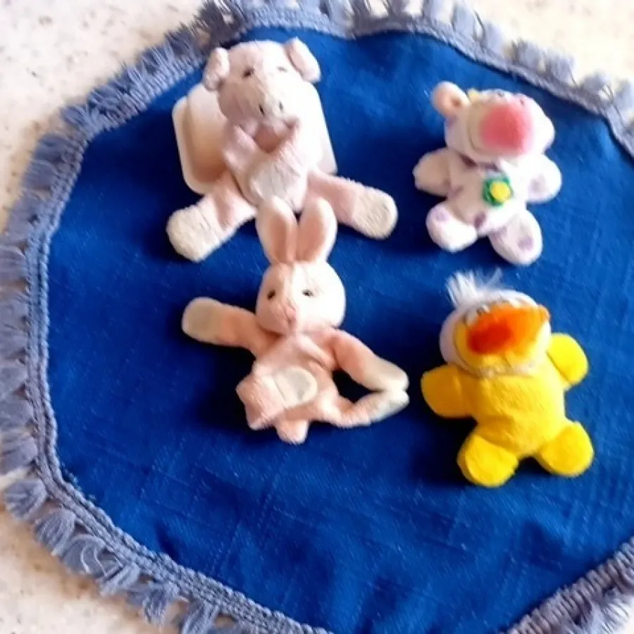 مگنت پولیشی