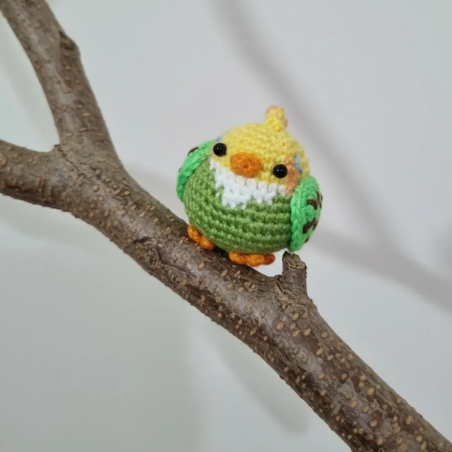 طوطی کوچولو بامزه