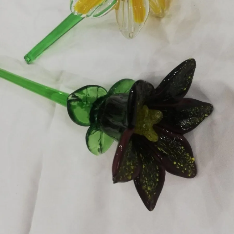 گل مورانو ایتالیایی