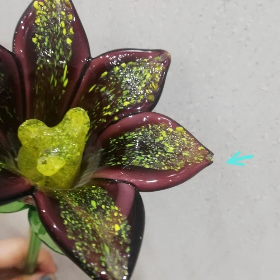 گل مورانو ایتالیایی